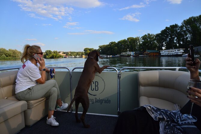 2 hours / Sightseeing Boat cruise Drinks Included - Seeing Pobednik from below