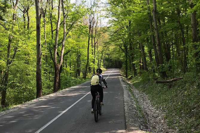 Avala & Kosmaj Bike Tour - Starting High on Mountain Avala