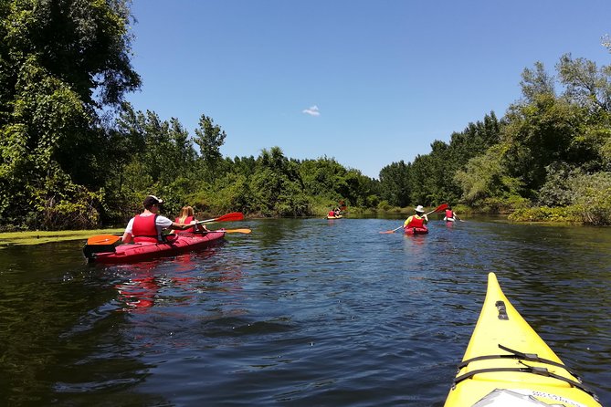 Belgrade Amazon Kayak Adventure - Key points to know before booking