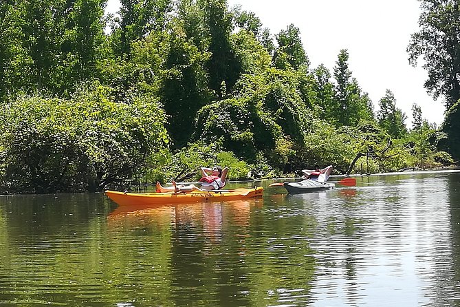 Belgrade Amazon Kayak Adventure - What makes Beljarica special