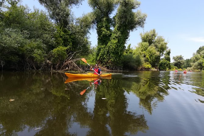 Belgrade Amazon Kayak Adventure - Who should book this Belgrade kayak trip?