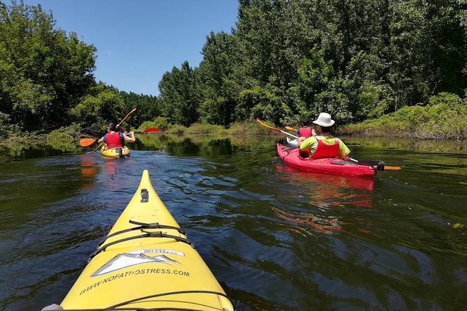 Belgrade Amazon Kayak Adventure - Five hours and 18 kilometers on the water