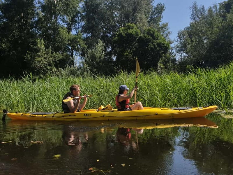Belgrade: Great War Island Kayak Adventure - Why Great War Island makes a fine city adventure