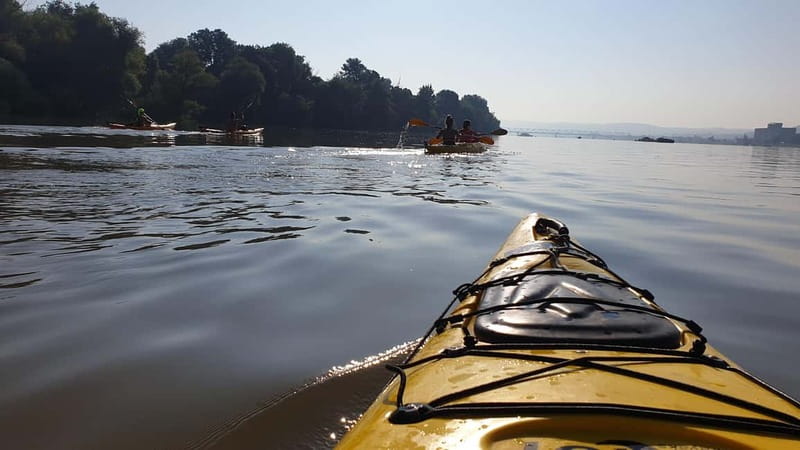 Belgrade: Great War Island Kayak Adventure - Downstream views of Nebojša’s Tower and the fortress