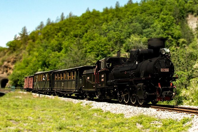 Belgrade: Mokra Gora, Šargan 8, Drina river house Full Day Tour - Riding the Šargan Eight railway