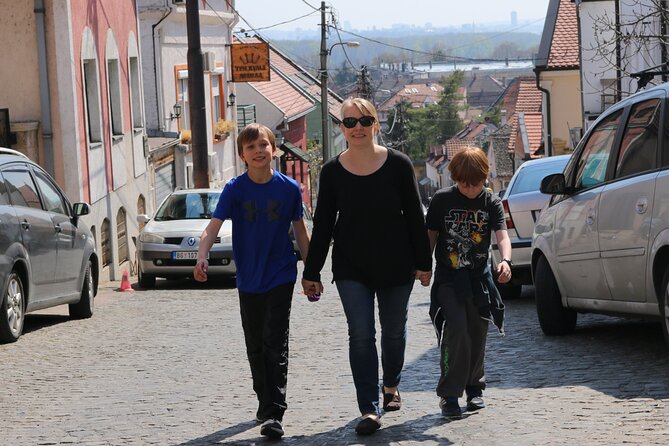Belgrade Private City Tour – Metropolis Between East and West - Zemun: a different historical accent