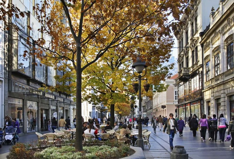 Belgrade: Shared Group or Private Guided Walking Tour - Knez Mihailo Street and the Orthodox Cathedral