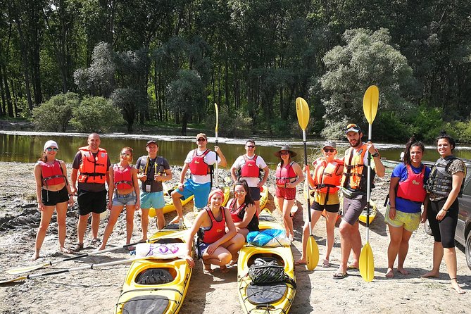 Belgrade War Island Kayak Tour - Key points to know before booking