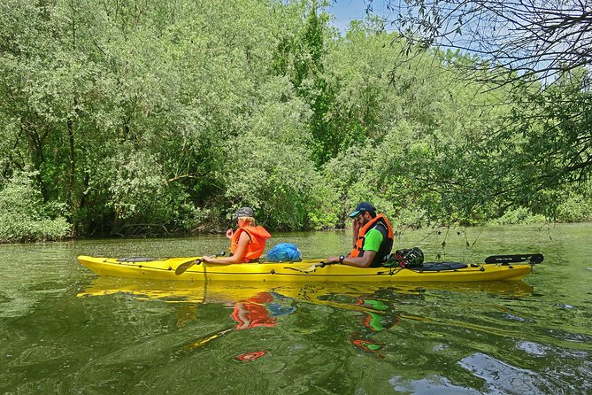 Belgrade War Island Kayak Tour - Why Great War Island makes a fine kayak setting