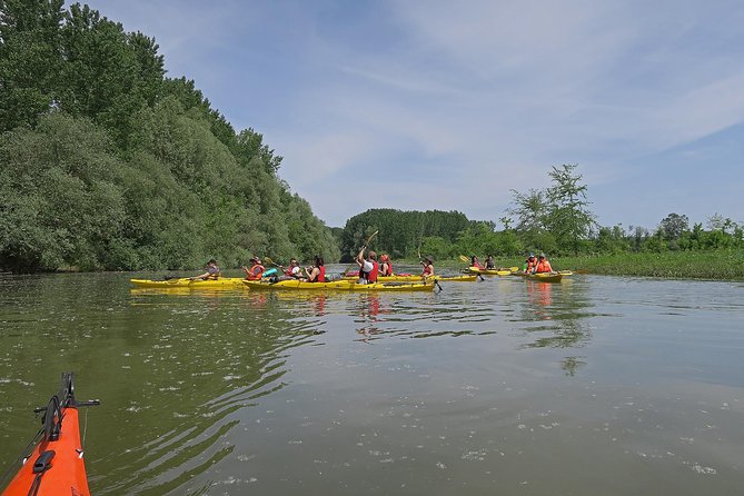 Belgrade War Island Kayak Tour - Veliki Galijaš and the island marshes