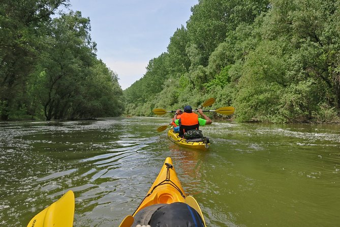 Belgrade War Island Kayak Tour - Lido Beach: sand, swimming, and a welcome pause