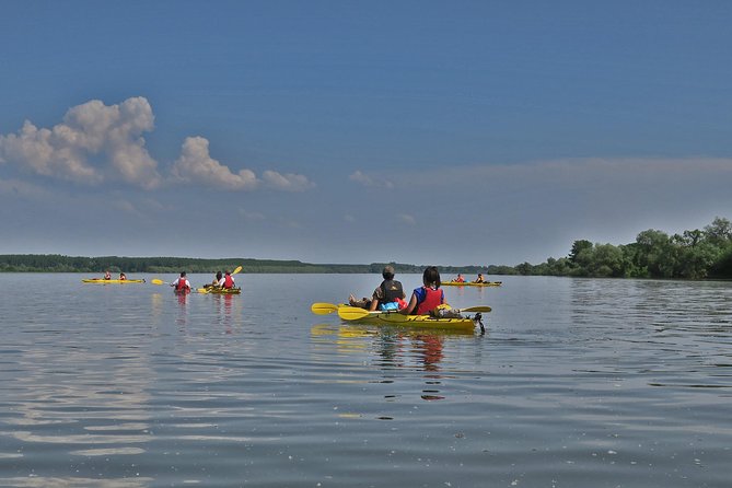 Belgrade War Island Kayak Tour - Is $42.33 a fair price?