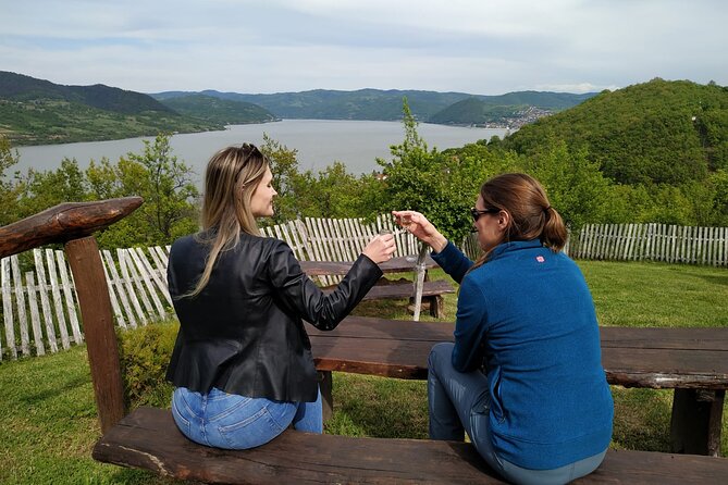 Danube: The Iron Gate - Full Day Tour from Belgrade - The vehicle and guide can make or break the day