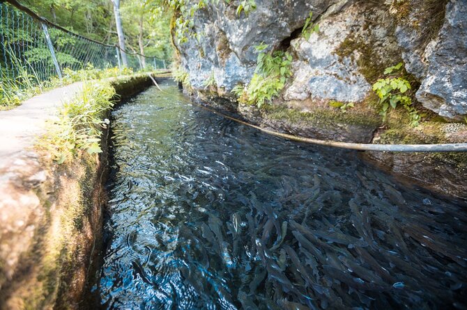 Day Trip from Belgrade: Gems of Eastern Serbia - Veliki Buk, a quick waterfall stop