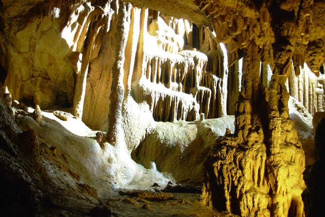 Fortified Manasija Monastery and Resava Cave Tour - The guide can shape the whole day