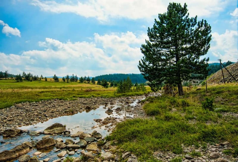 From Belgrade: Full-Day Guided Tour of Zlatibor Mountain - Sirogojno And Wooden Serbia
