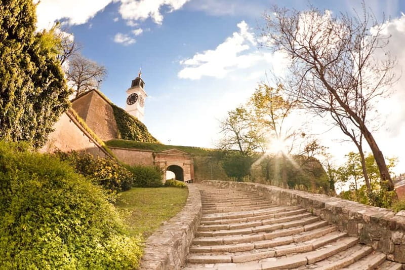 From Belgrade: Novi Sad and Sremski Karlovci Day Trip - Why this day trip works from Belgrade