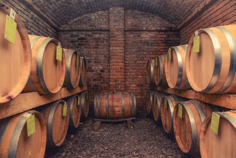 From Belgrade: Novi Sad and Sremski Karlovci Day Trip - Sremski Karlovci and the character of Serbian wine country
