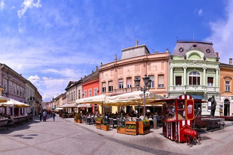 From Belgrade: Novi Sad and Sremski Karlovci Day Trip - Who should book this experience