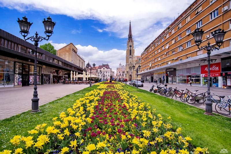 From Belgrade: Novi Sad and Sremski Karlovci Day Trip - What to bring and how to use your free time