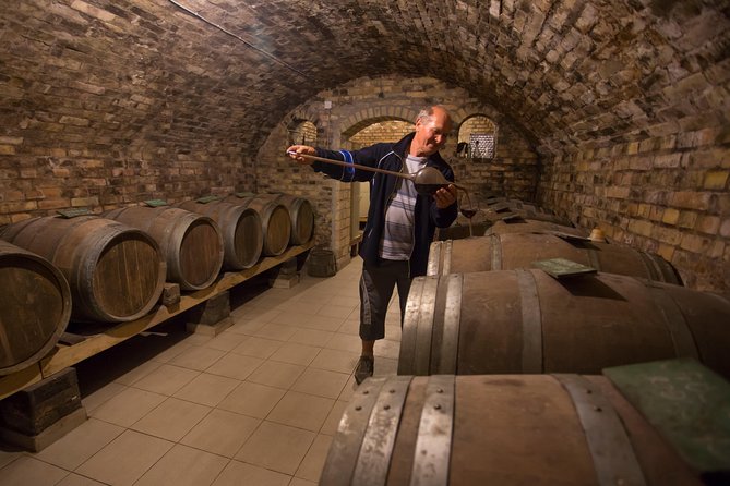 From Belgrade: Novi Sad and Sremski Karlovci Tour - Timing, pickup, and weather advice
