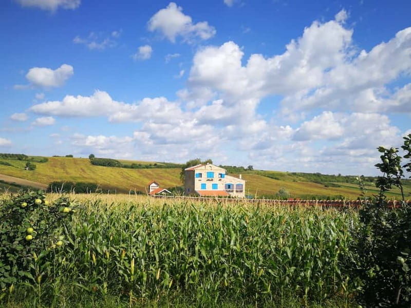 From Belgrade: Novi Sad & Fruska gora & winery and monastery - Why this makes sense from Belgrade