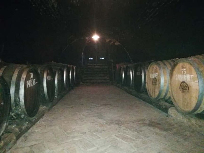 From Belgrade: Novi Sad & Fruska gora & winery and monastery - Guides, vehicles, and the real value of $104