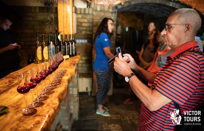 From Belgrade: Novi Sad & Sremski Karlovci Full-Day Tour - Novi Sad, Serbia’s so-called Serbian Athens