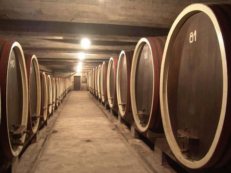 From Belgrade: Oplenac mausoleum Royal tour with winery - The essential facts at a glance