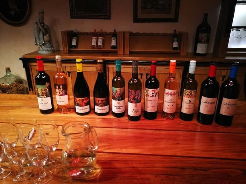 From Belgrade: Subotica and Palic Full-Day Trip with winery - What the $163 price really covers