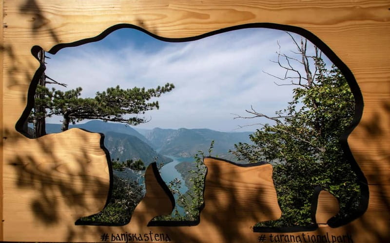 From Zlatibor/Užice: Mokra Gora & Tara National Park - Who should book this experience?