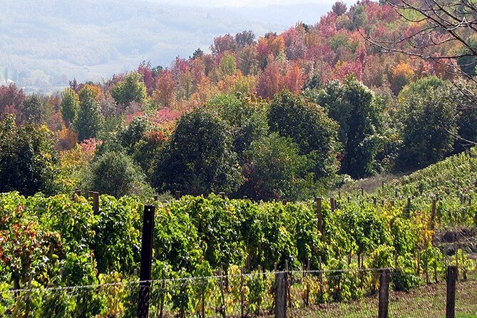 Full-Day Private Royal Heritage Tour to Oplenac With a Winery Visit - What the $531.38 price really buys you