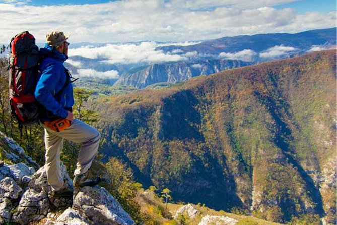 Full Day Trip from Belgrade: The Drina River House And Tara Park Tour - What the Ride Is Really Like
