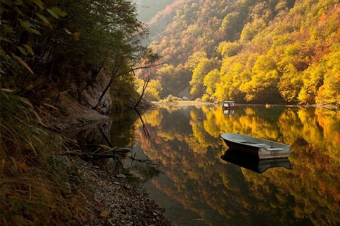 Full Day Trip from Belgrade: The Drina River House And Tara Park Tour - Is $162.21 a Fair Price?