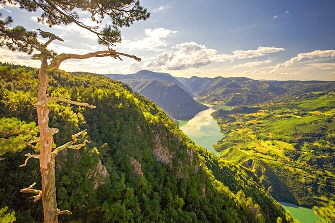 Full Day Trip from Belgrade: The Drina River House And Tara Park Tour - The Drina River House and Its Flood-Tested Story
