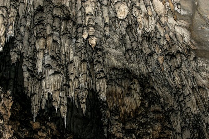 Full Day Trip from Belgrade: Uvac Nature Reserve Tour - The guide service and small-group advantage
