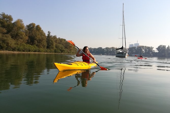 Great War Island Kayak Adventure - What the guide adds to the experience