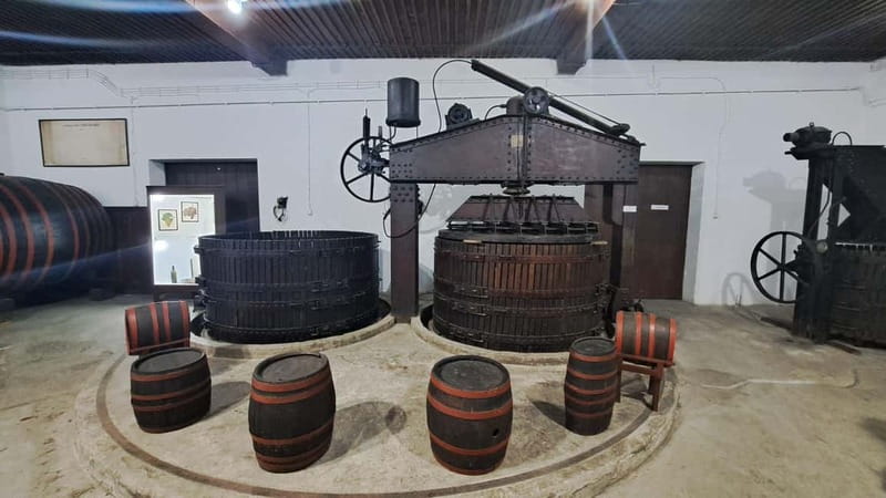 HISTORY WINE & ROYALTY (Avala mountain – Topola – Oplenac) - Topola, where Serbian wine meets royal power