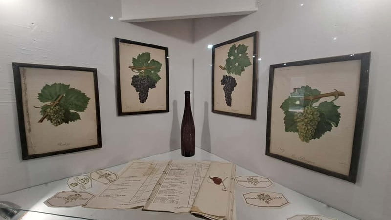 HISTORY WINE & ROYALTY (Avala mountain – Topola – Oplenac) - What the $223 price really covers