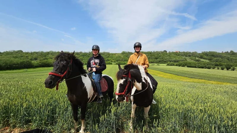 Horseback Trail Riding - Private Day Trip from Belgrade - Vrdnik Tower and the old stone fortification