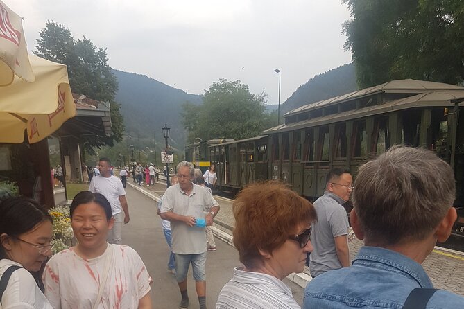 Mokra Gora toure with a Šargan 8 train ride - Who should book this west Serbia day trip?