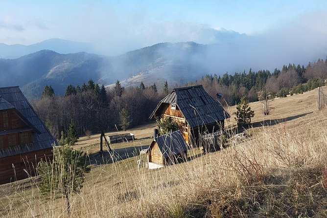 Mokra Gora toure with a Šargan 8 train ride - Tara National Park and Pančić’s spruce