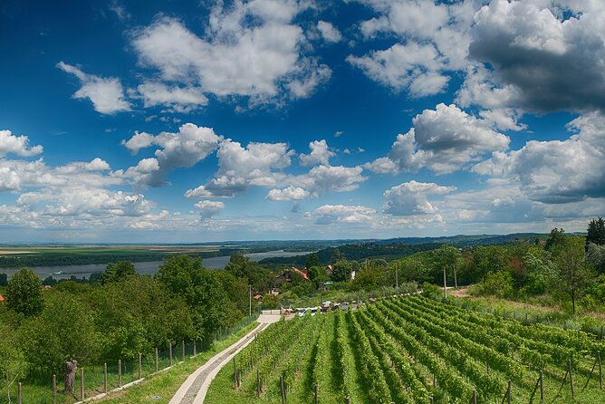 Natural wine tasting with great views - Why this Belgrade wine outing feels different