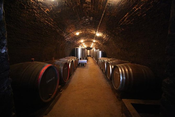Novi Sad and Sremski Karlovci private tour with wine tasting - Novi Sad, Serbia’s relaxed northern center