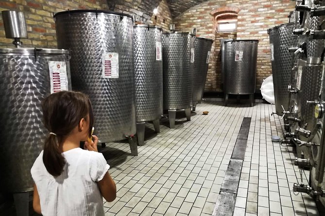 Novi Sad Saturday Full day trip - Two hours in Sremski Karlovci