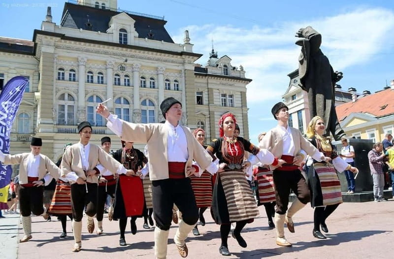 Novi Sad: Walking Tour city center and Petrovaradin Fortress - Matica Srpska, books, art, and Serbian identity