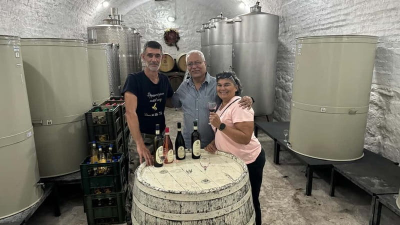 Private Day Tour Discovering Gems of Novi Sad in Luxury - A long Serbian lunch at Sokače