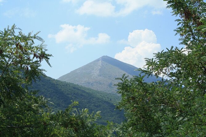 Private Day Tour to UNESCO site Felix Romuliana - Who will enjoy this private day out