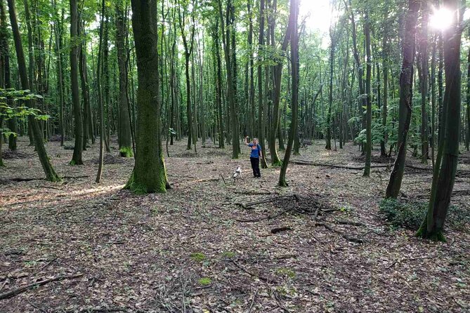 Private Guided Truffle Hunting Tour in Serbia with Lunch - What the $173.64 price really covers
