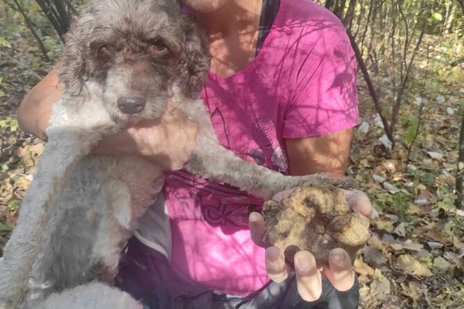 Private Guided Truffle Hunting Tour in Serbia with Lunch - Booking advice and cancellation rules